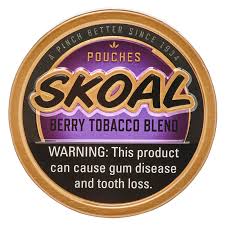 Skoal Berry POUCHES