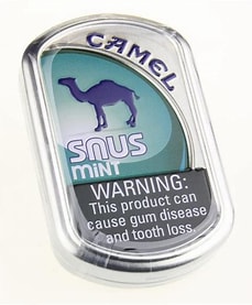 Camel Snus Mint